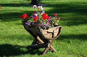 Клумба своими руками фото 5