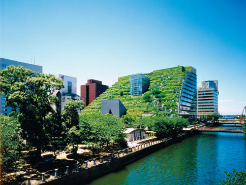 зеленые крыши в японии