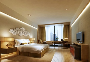 Номер в отелеот Inter Continental Hotels Group