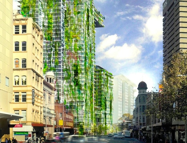 Самый высокий в мире вертикальный сад в Сиднее  фото 1