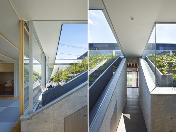 Дом с огородом на крыше.