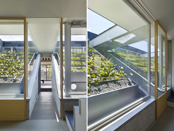 Дом с огородом на крыше.