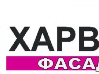 logo-11937