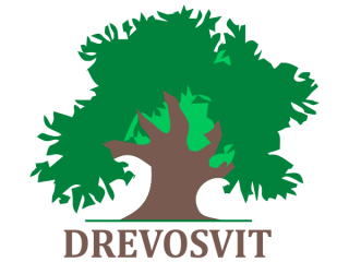 logo-29241