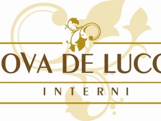 logo-2988