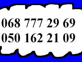 logo-40407