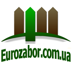 logo-55834