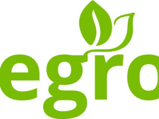 logo-62033