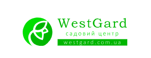 logo-65533