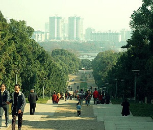 Названы самые зеленые города в мире