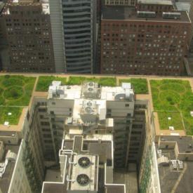 Мода на зеленые крыши