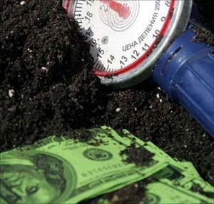 10 га государственных земель под Киевом пытались завладеть мошенники