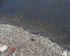 CREATOR: gd-jpeg v1.0 (using IJG JPEG v62), quality = 95