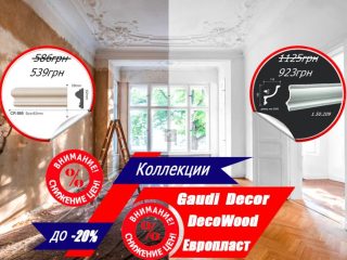 news-45358