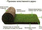 высокая устойчивость к вытаптыванию