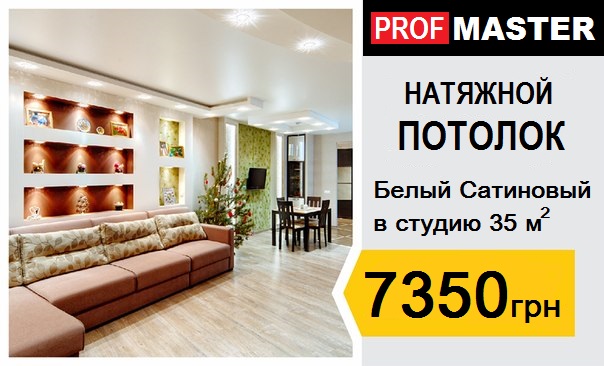 Натяжной потолок в квартиру Студию 35 кв. метров.