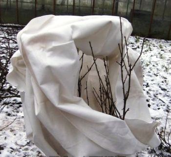 Геосинтетическое укрытие растений на зиму