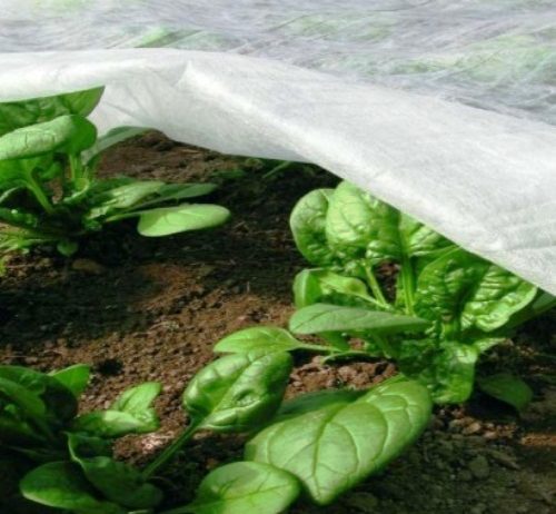 Материал для укрытия растений