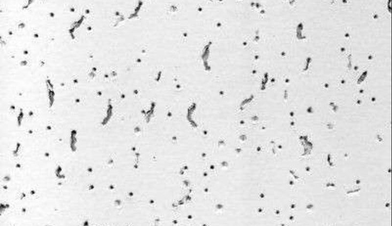 Плита Armstrong Байкал BAJKAL 600x600x12мм/AMF Trento board 600x600x13мм