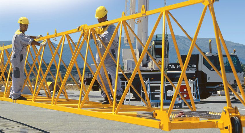 Монтаж, демонтаж башенного крана Liebherr, Роtain, Wolff