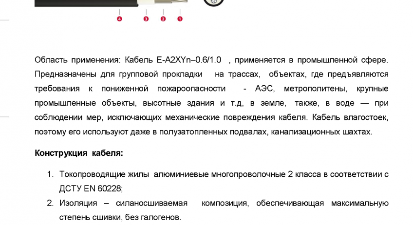 E-A2XYn–0.6/1.0  «Интеркабель Киев»™