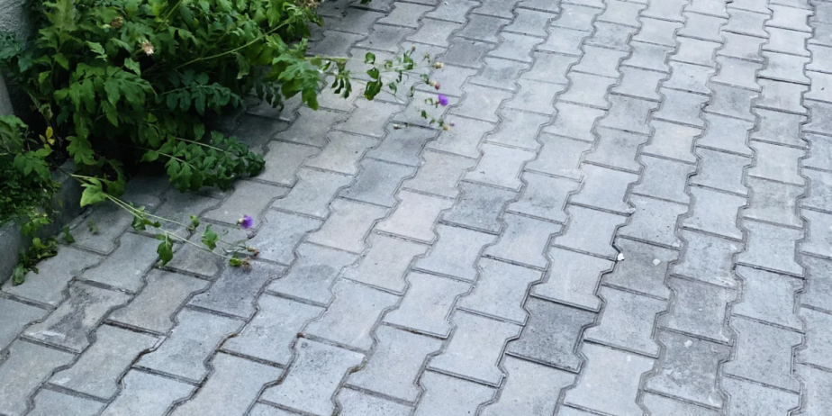 тротуарная плитка опт