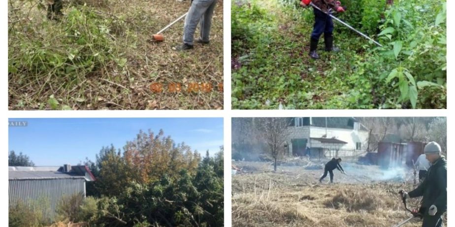 Расчистка участков