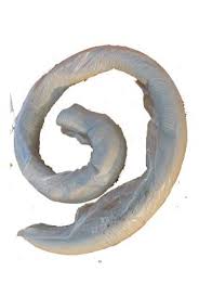 Тегерон Стык Экобит ящик 5 кг герметизирующая морозостойкая нетвердеющая мастика ДСТУ Б В.2.7-108-2001